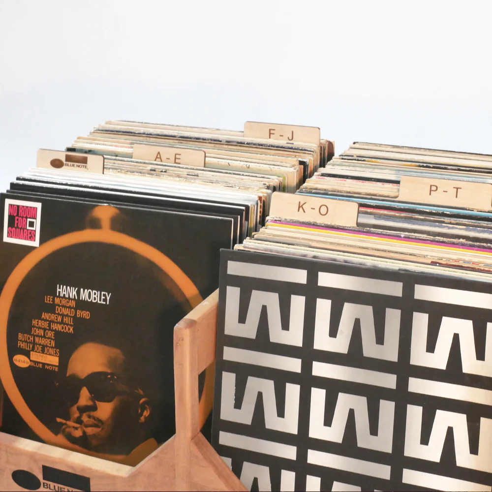 Vinyl Dividers - Image 3